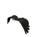 Animated eagle